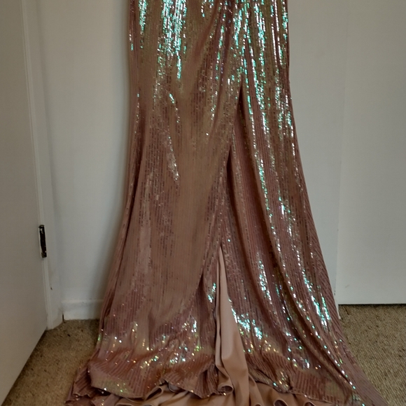 Rose Gold Sequin Mermaid Style Dress NWT - Picture 5 of 13